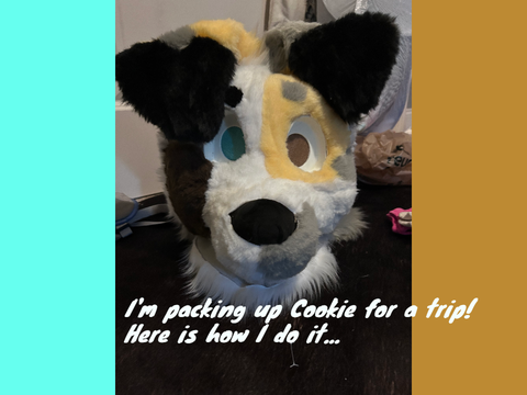 Packing Fur a Trip!
