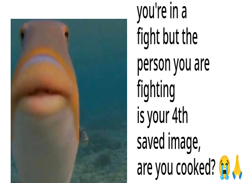 you fight your 4th saved image remix
