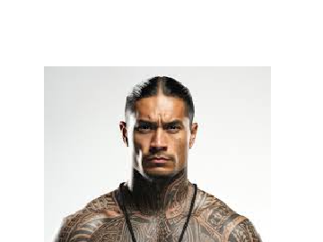 Maori Translator Guy