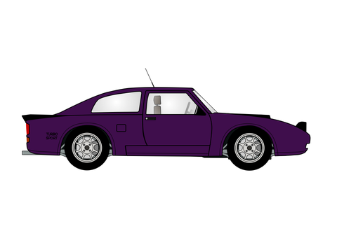 Track Day Car