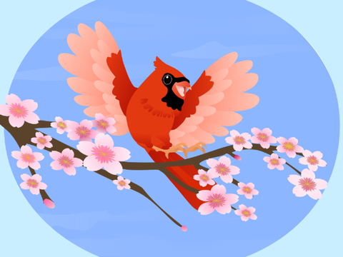 Cardinal Vector Art Animated