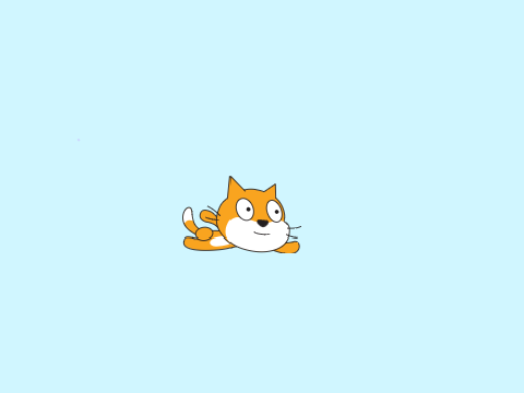 flying cat