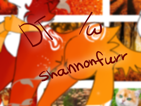 ♡°. DT /w shannonfurr 