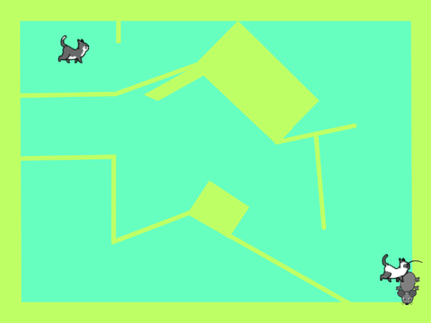 Kitty Labyrinth Race