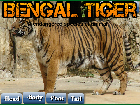 Tiger project