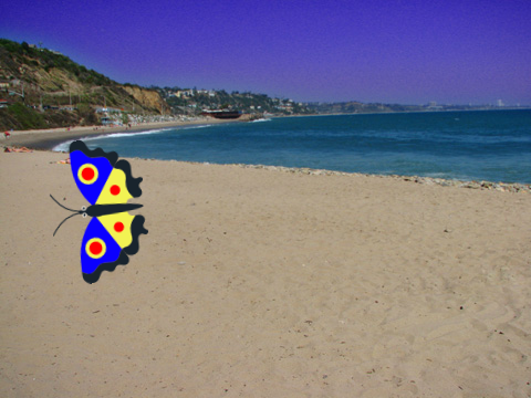 Butterfly Beach