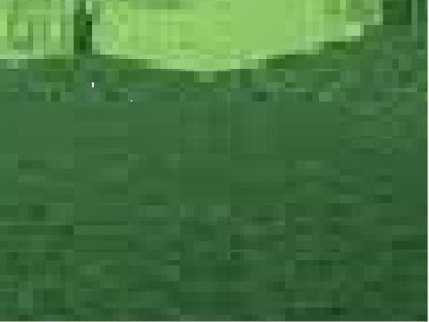 MINECRAFT FUNNY GIFS