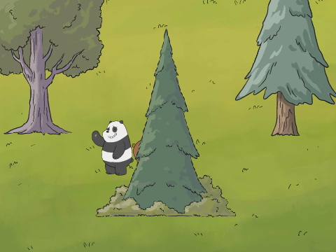 Hide and Seek
