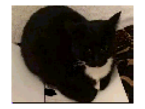 image import