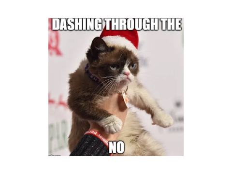 Grumpy cat memes