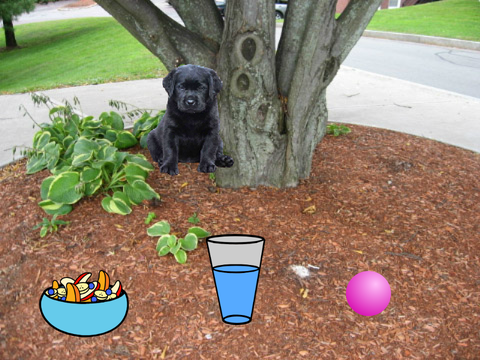 G3 Nana Week 3 Virtual Pet Game