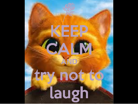 Try not to laugh remix