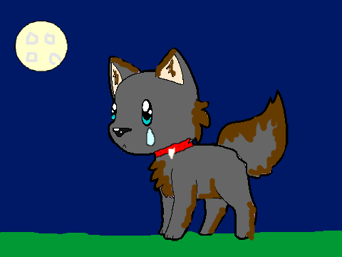 Cute Fox CC remix