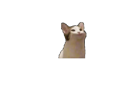 remix this project and multuply the amount of memes by 2