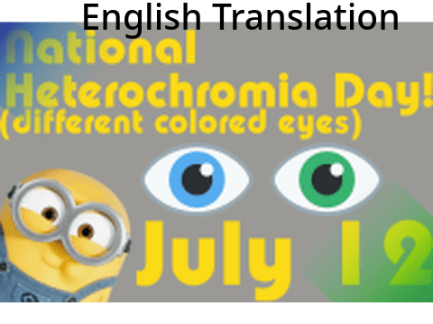 National Heterochromia Day -- English Translation