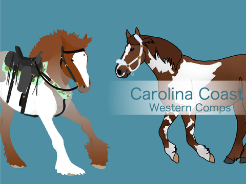 CC Western Entrys!
