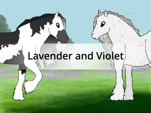 ✧❁❁✧ Lavender and Violet ✧❁❁✧