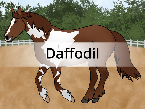 ✧❁❁✧ Daffodil ✧❁❁✧