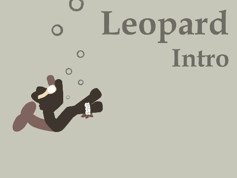Leopard || Intro