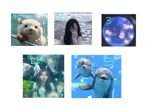 Help me decide on which PFP  Closed
