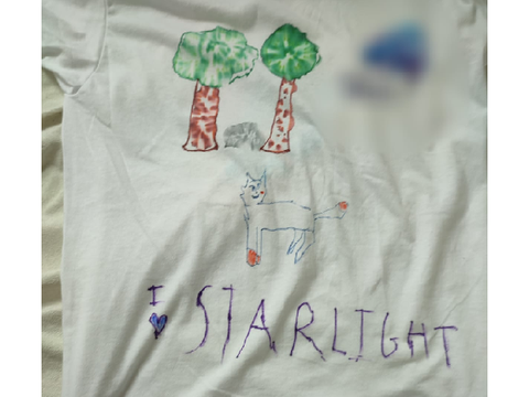Starlight T-shirt (no joke!) #all #starlight #art #shirt