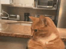 mewing transformation