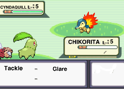 Chikorita vs Cyndaquill Pokemon Battle