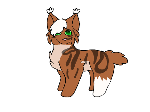 Warrior cat generator