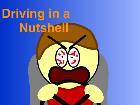 Driving In a Nutshell