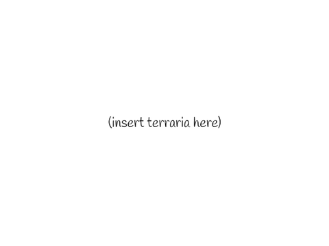 [LQ] the modded terraria experience