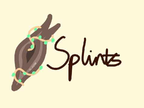 Currency System - Splints