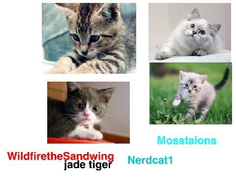 Sign if you think kitties are cute! :3 remix