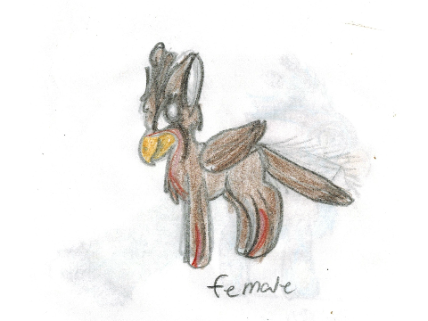 drawings  I'v been shareing up on DA