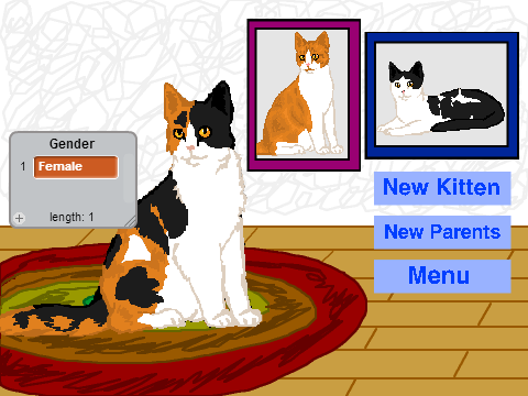 Cat Genetics 
