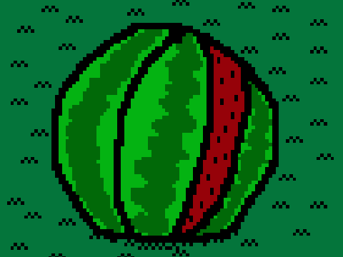 for melon guy