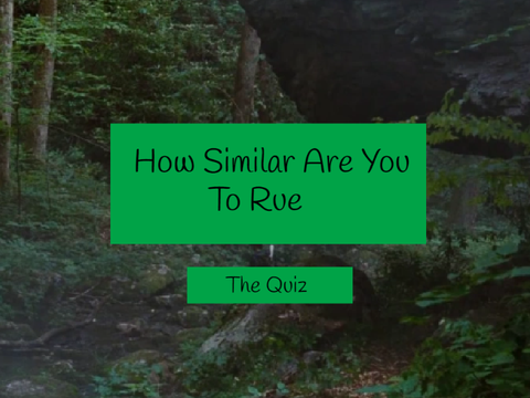 How Similar Are You To Rue? | The Quiz