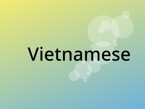 Translations || Vietnamese || ♡Creative Coders♡