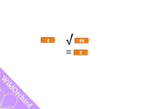 Nth root of X