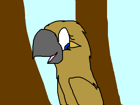 House Sparrow