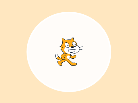 weird cat