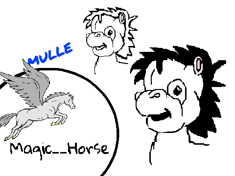 horse sketch "Mulle"