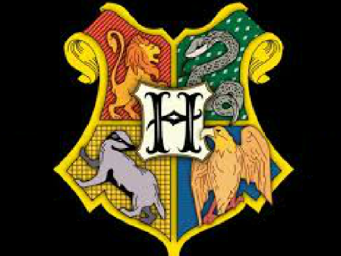 Which Harry Potter House Are You In?
