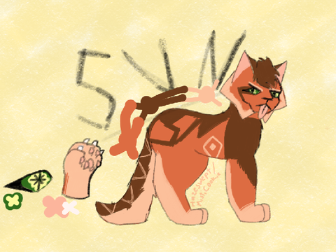 Sun + Shade Refs
