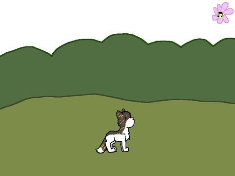 unfinsihed wip