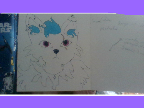I don't think I'll colour it in more