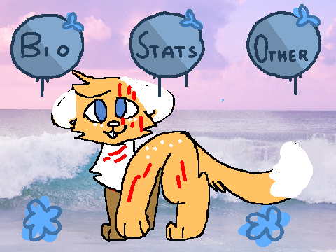 shypaw ref sheet