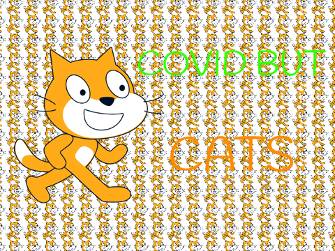 covid but cats