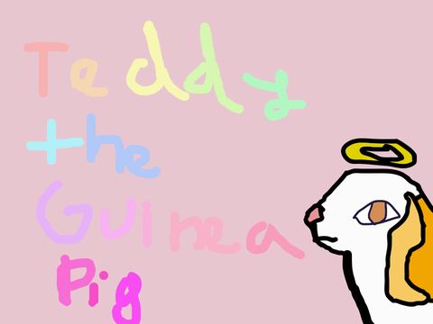 Teddy The Guinea Pig | A Parallax