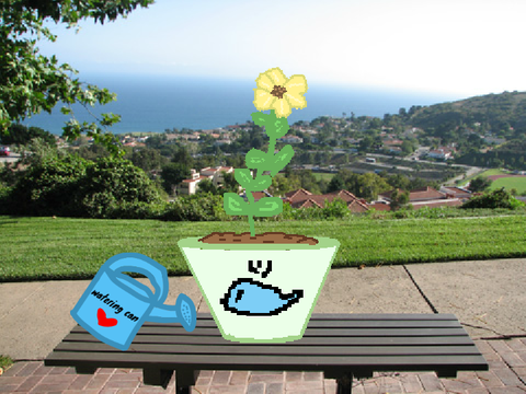 Water a plant.