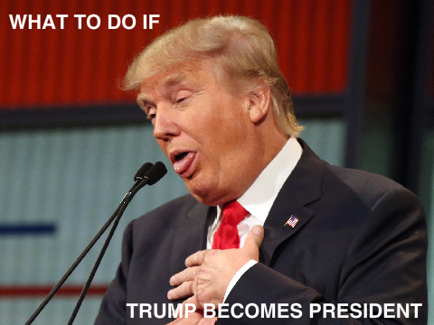 What to do if Trump Becomes President 